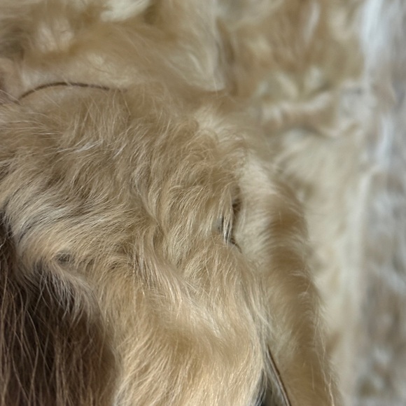 Burberry Shearling Trench Coat with Goat Fur Trim - Picture 8 of 11